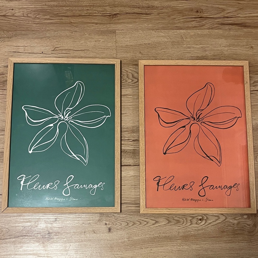 SEZANE Fleurs Sauvages Framed Art Set (2)